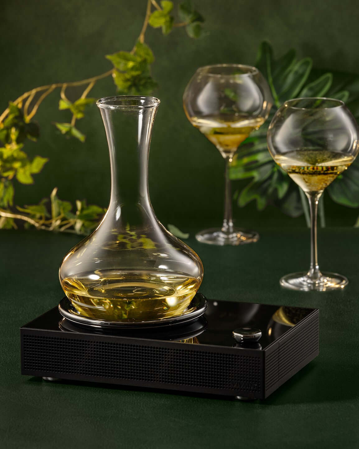 Titan - Decanter chiller by Vivant