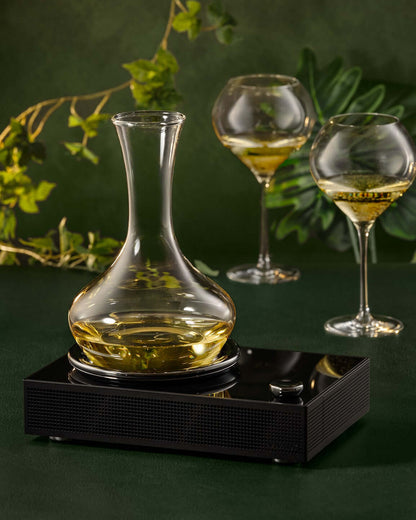 Titan - Decanter chiller by Vivant